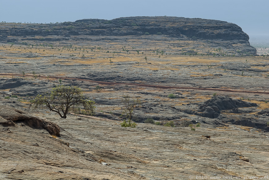 01 Dogon 2009