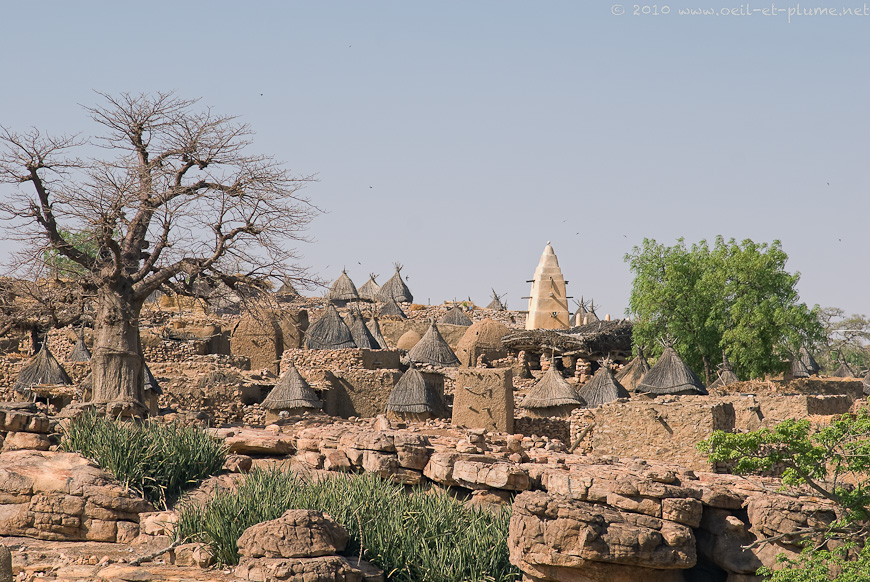 03 Dogon 2009