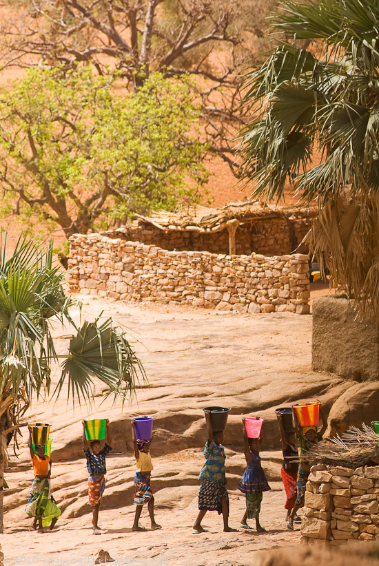 12 Dogon 2009