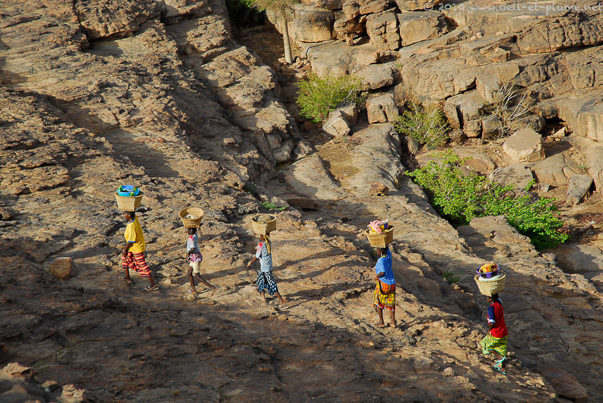 13 Dogon 2009