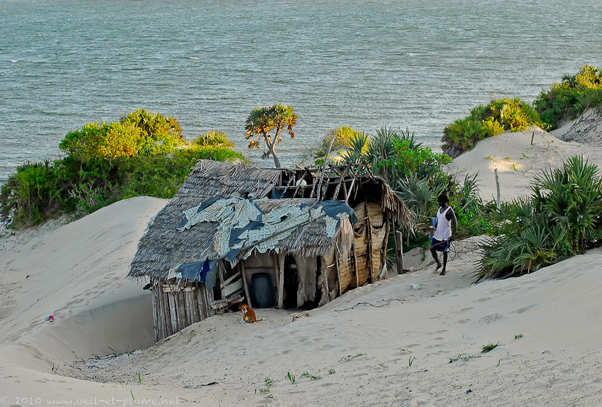 01 Lamu 2007