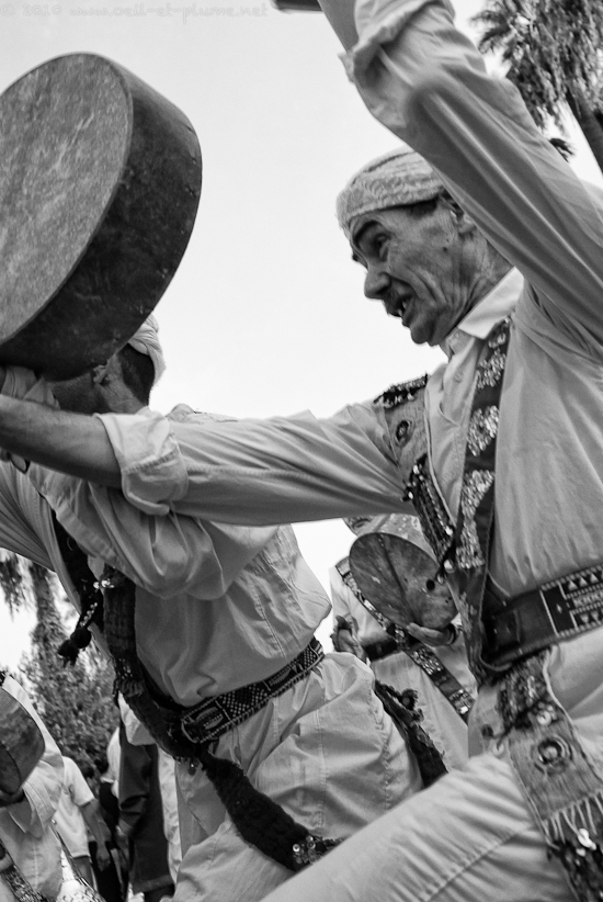 10 Moulay 2010