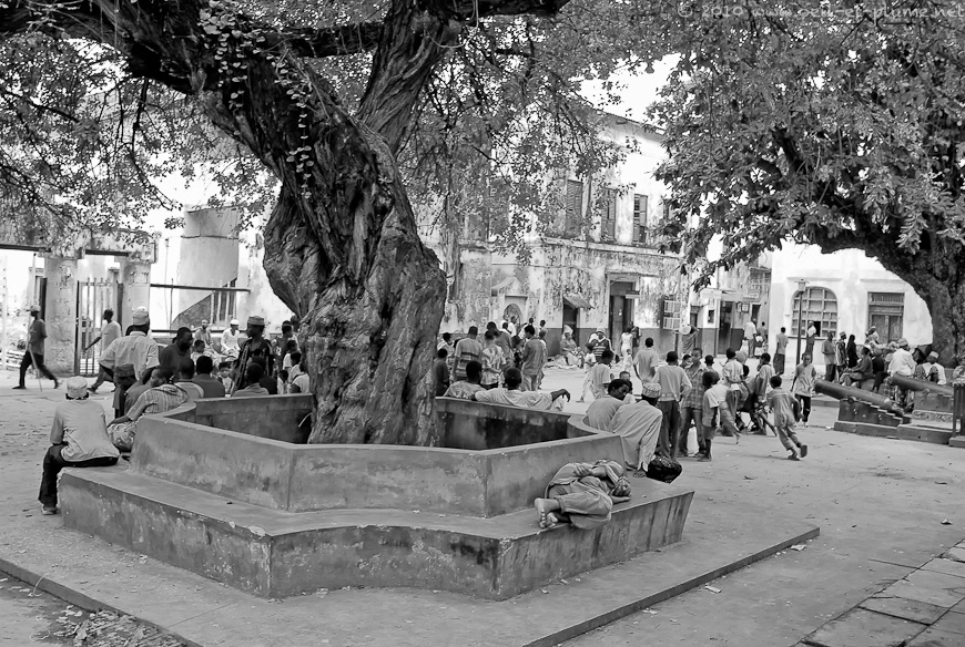 17 Lamu 2007