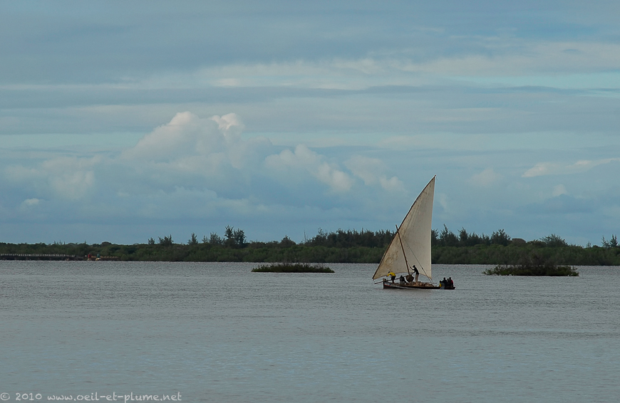 21 Lamu 2007