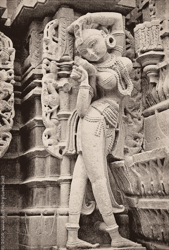 03 Inde du Sud 2006