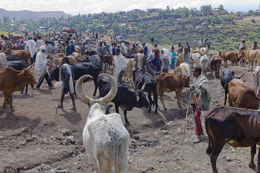 13 Lalibela 05.11.2011