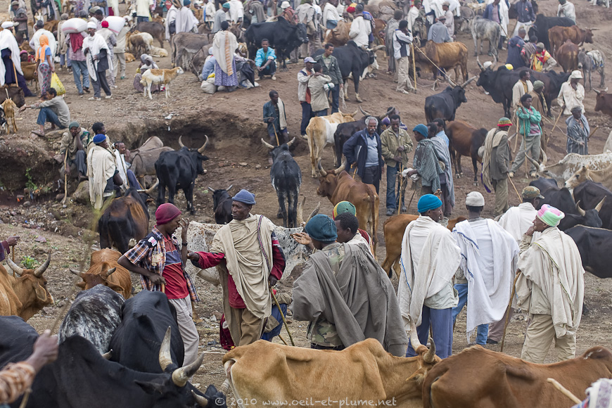 14 Lalibela 05.11.2011
