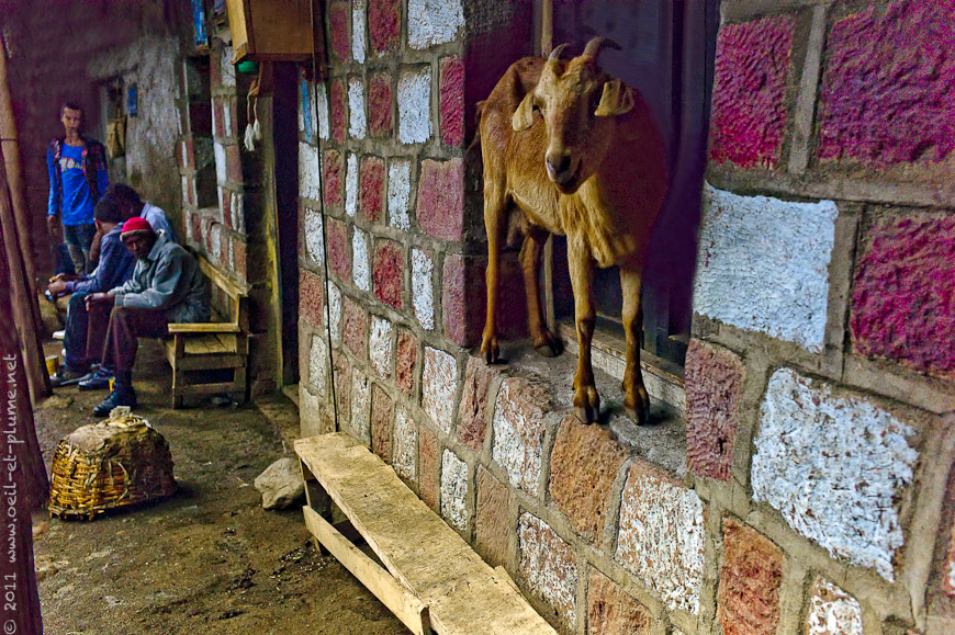 15 Lalibela 05.11.2011