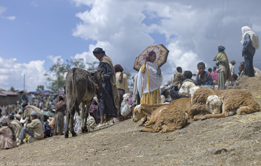 16 Lalibela 05.11.2011